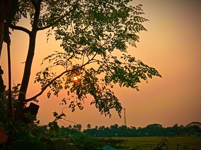 IMG_20250607_221853.jpg