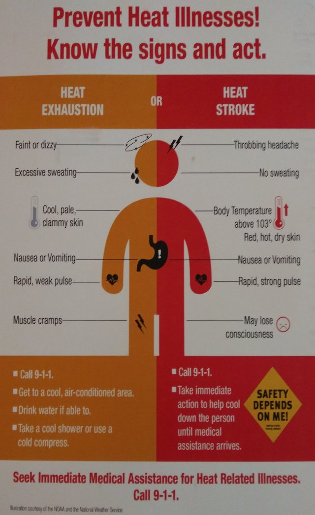 Signs of heat exhaustion and heat stroke