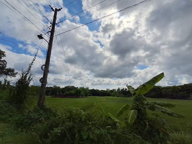 20250622_150825.jpg