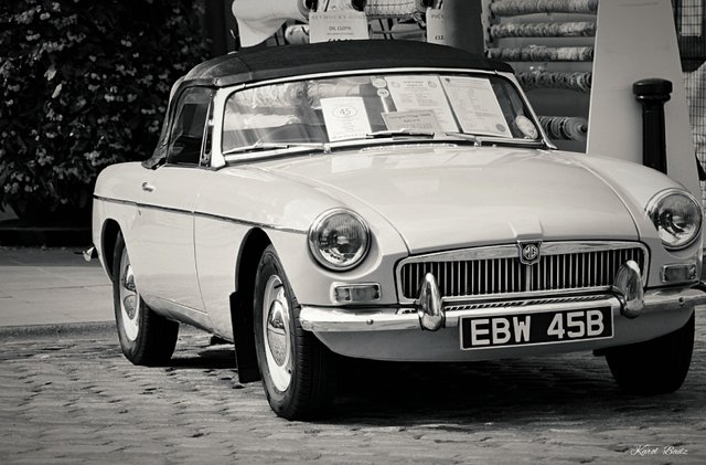 DSC_5461_Fotor.jpg