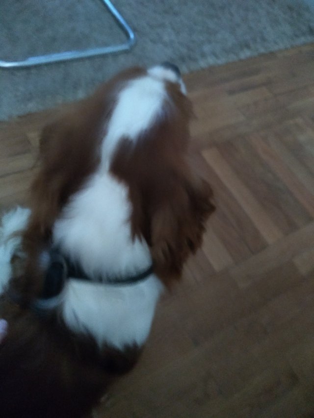 2021-08-02 08.53.22.jpg
