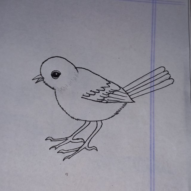 20250924_113239.jpg