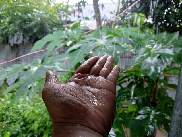 IMG20250808102657.jpg