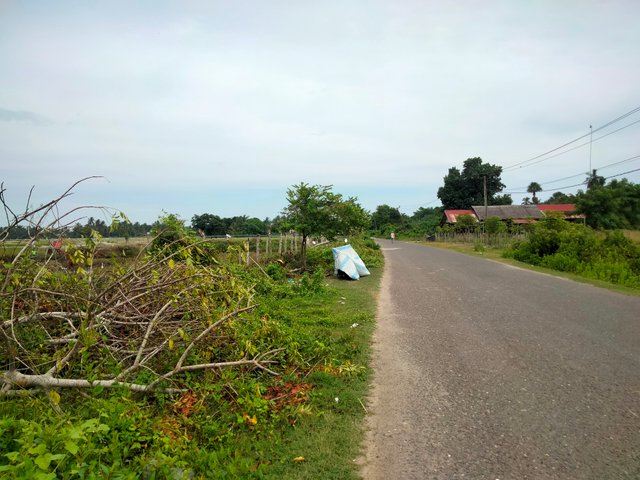 IMG20250817101018.jpg