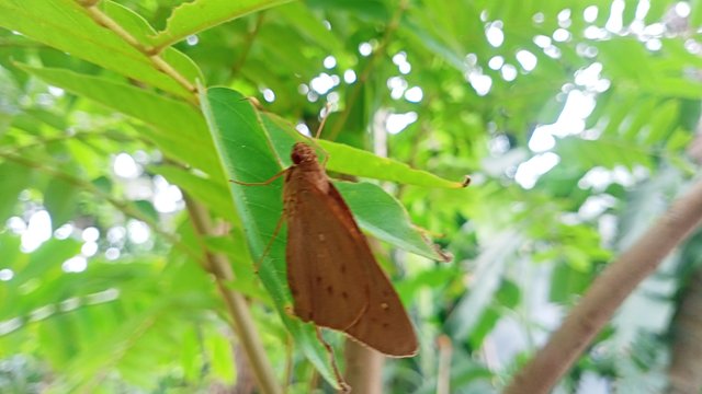 IMG20250428154245.jpg