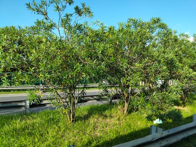 IMG20250905164455.jpg