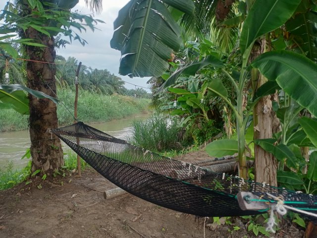 IMG20250619173854.jpg