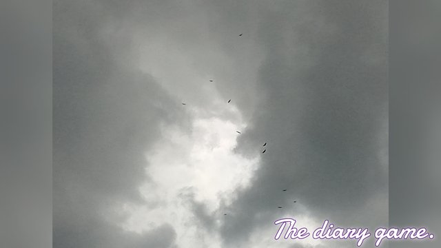 FotoGrid_20250824_185207511.jpg