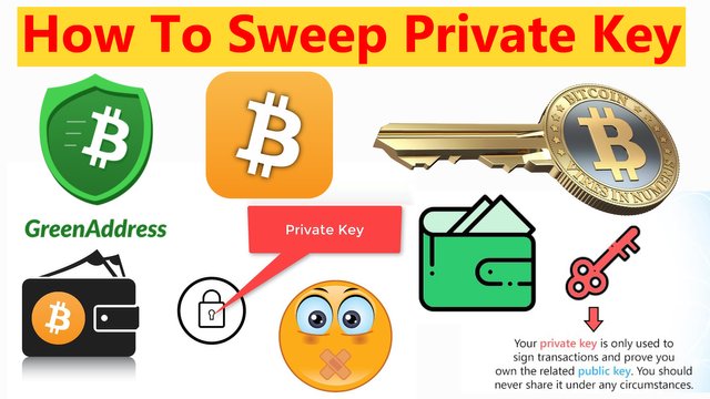 Bitcoin Private Key Import by crypto wallets info.jpg