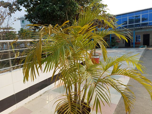IMG20241214144235.jpg