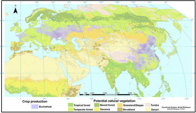 Distribution-of-buckwheat-cultivation-in-relation-to-potential-natural-vegetation.png