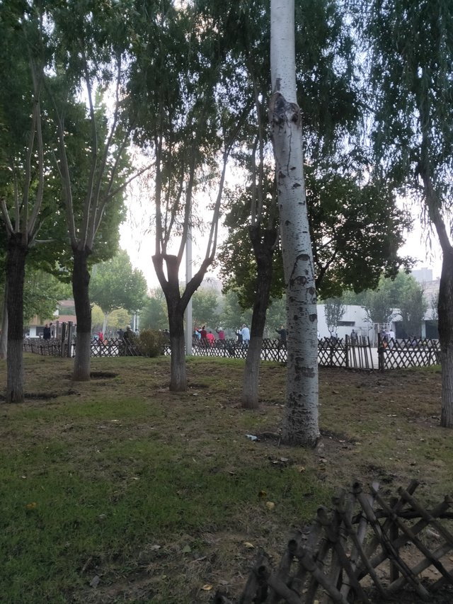 IMG20251017063916.jp