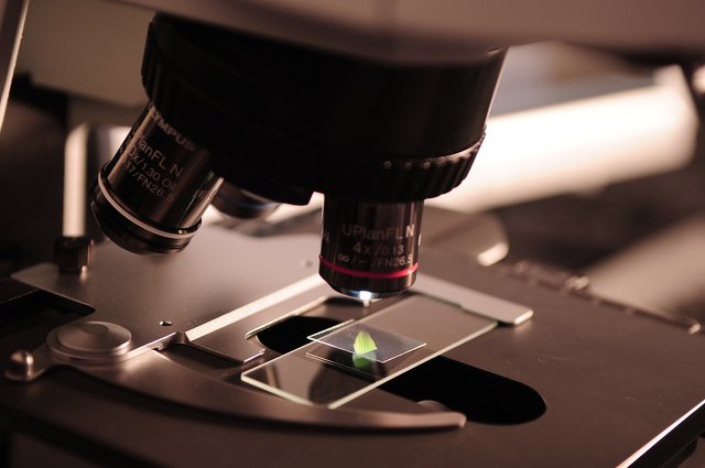 microscope-gb4704809a_1920.jpg