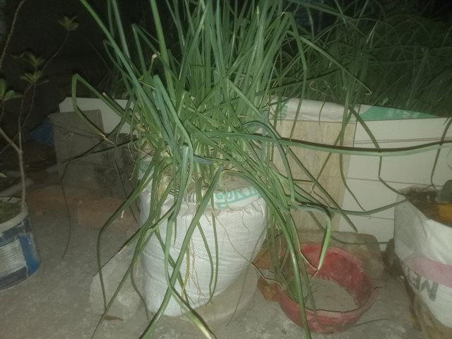 IMG20250304215044.jpg