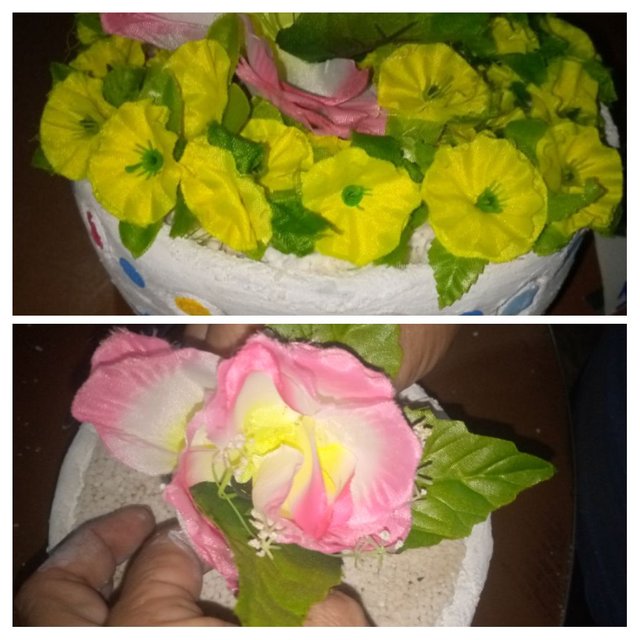 IMG_20250914_171928-COLLAGE.jpg