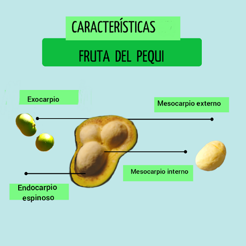 IMG_20230107_184419_(500_x_500_píxel).png