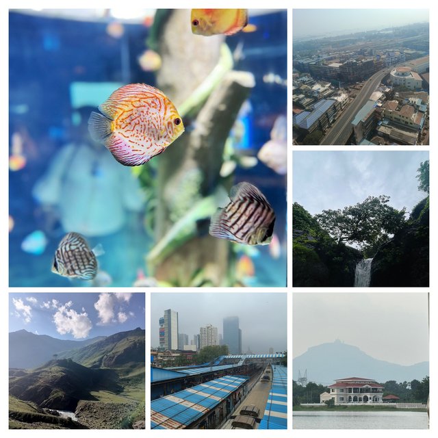 1759380975353-COLLAGE.jpg