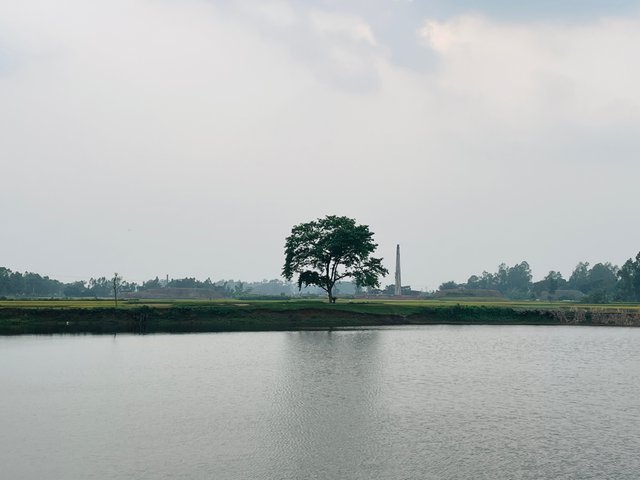 IMG_2816.jpeg
