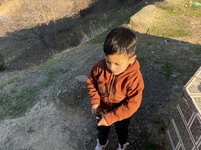 IMG_2868.jpeg