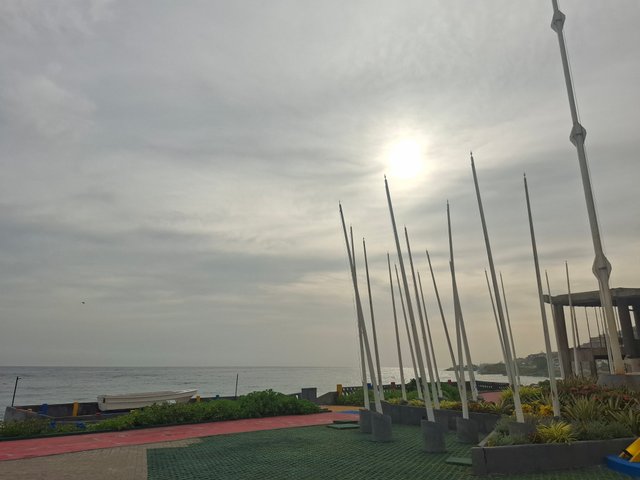 1000207207.jpg