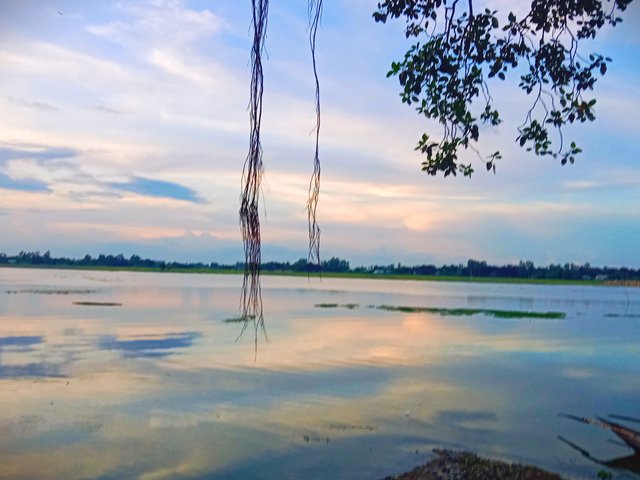 IMG_20250830_215839.jpg