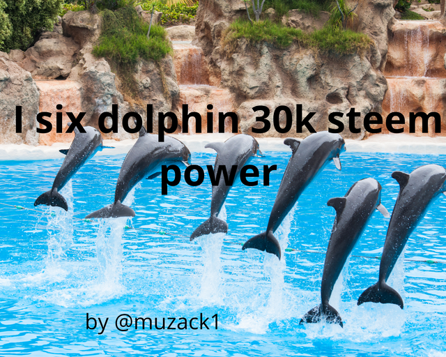 Add titleAdd title I six dolphin 30k steem power_20240122_175809_0000.png