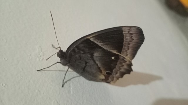 IMG20250531181955.jpg