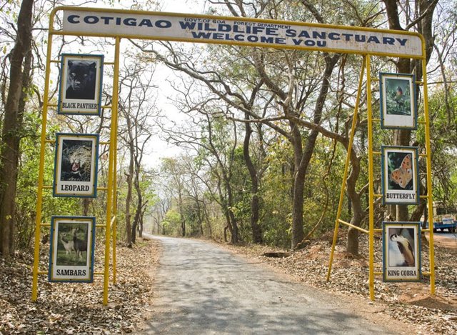 13.cotigao-wildlife-sanctuary.jpg