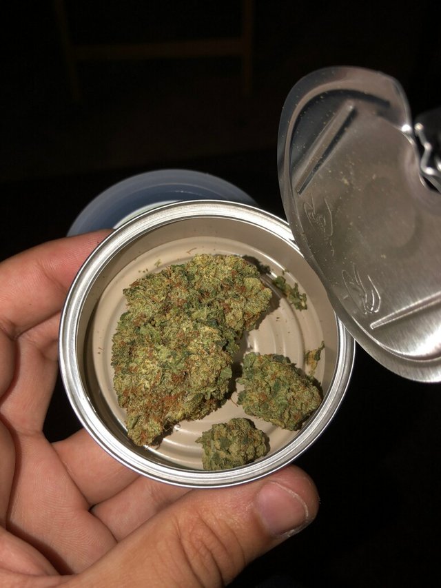 Tuna Can Weed! — Steemit