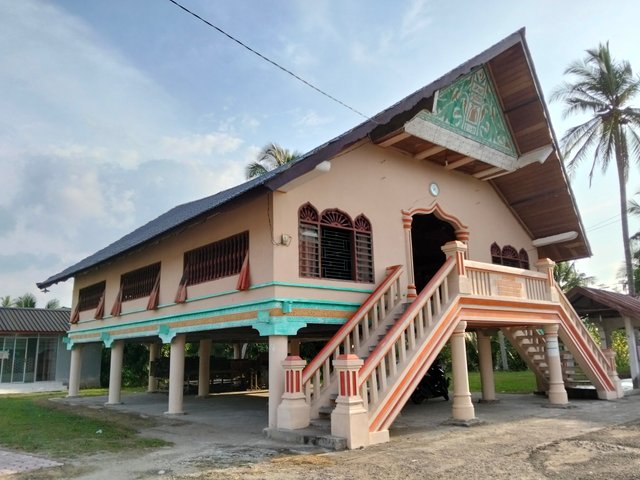 4610.jpg