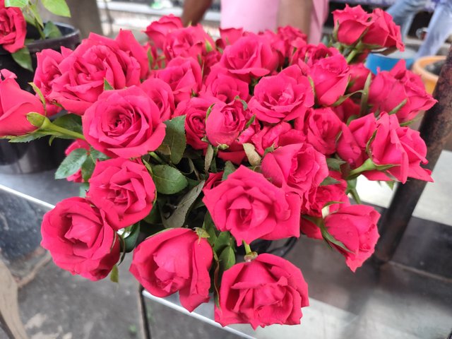 IMG_20250920_171108.jpg