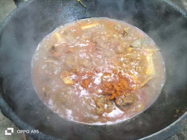 IMG20250501114532.jpg
