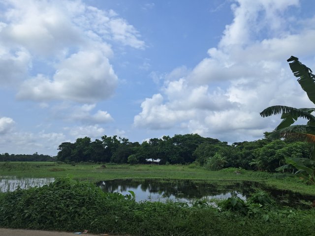 20240713_141623.jpg