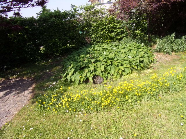 100_2633.JPG