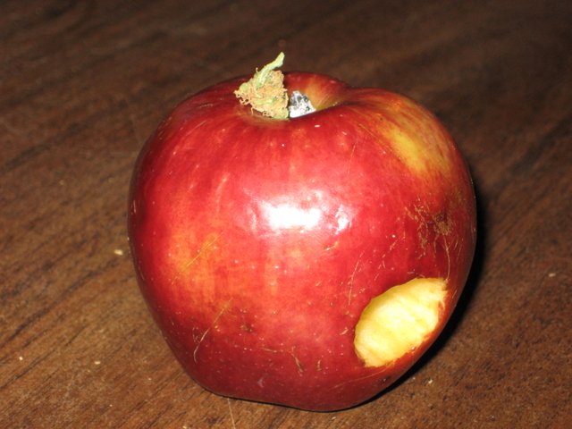 Apple-pipe.jpg