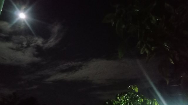 IMG_20240819_221035.jpg