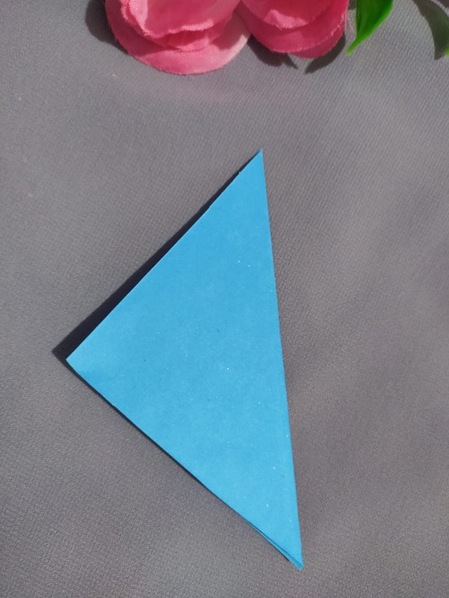 1000016095.jpg