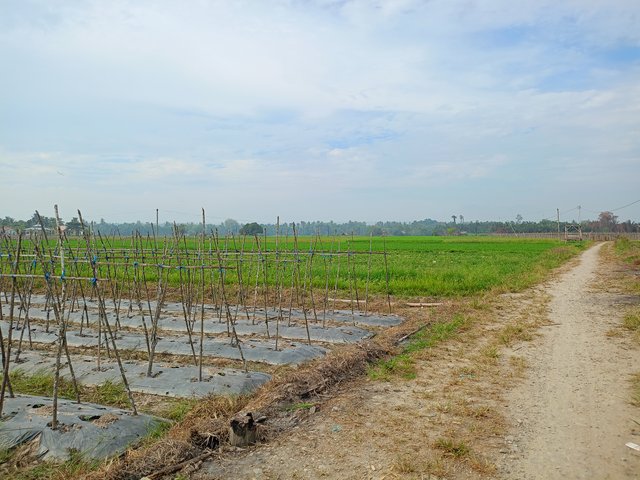 IMG20250819085043.jpg