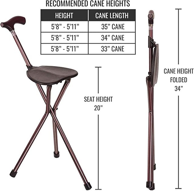 walking stick com chair6.jpg