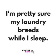 laundry breeds.jpg