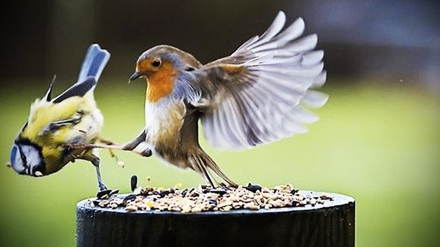 this is sparta.jpg