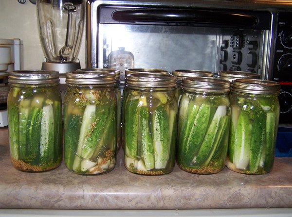 Dill pickles - ready for canner crop Aug. 2018.jpg