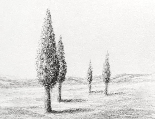 overlapping-trees-pencil-drawing.jpg