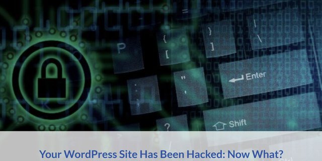 Your WordPress Site Has Been Hacked.jpg