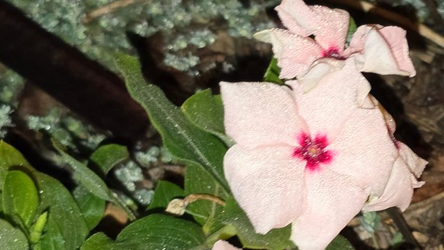 20241210_021747.jpg
