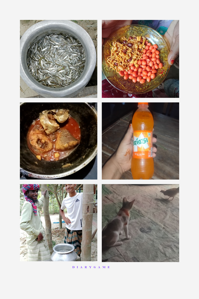 Grey Beige Minimalist Aesthetic Inspiration Moodboard Photo Collage_20250409_142653_0000.png