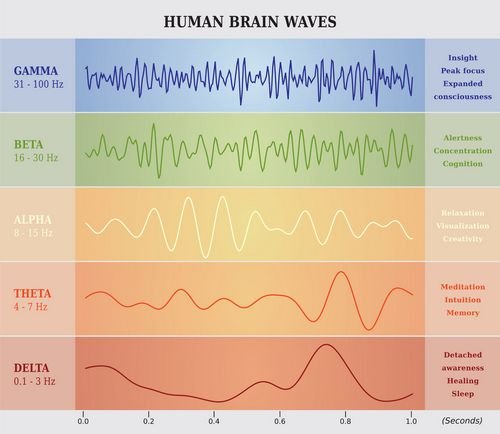 brain-waves.jpg
