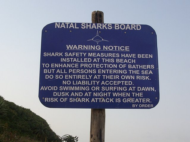 Shark Attacks.jpg