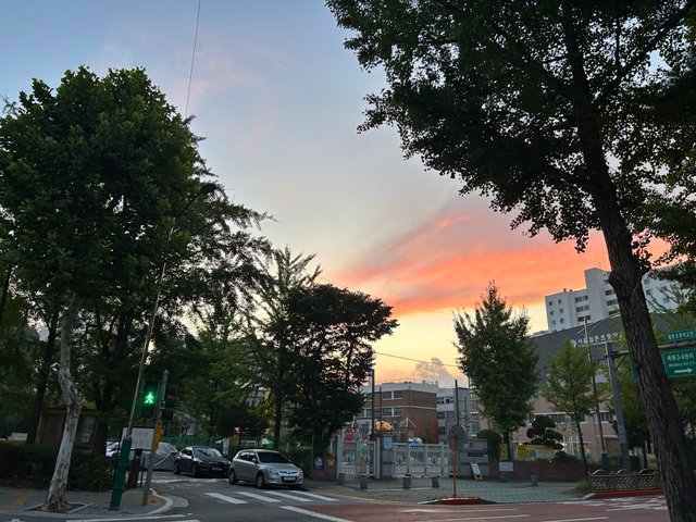 IMG_0273.jpeg