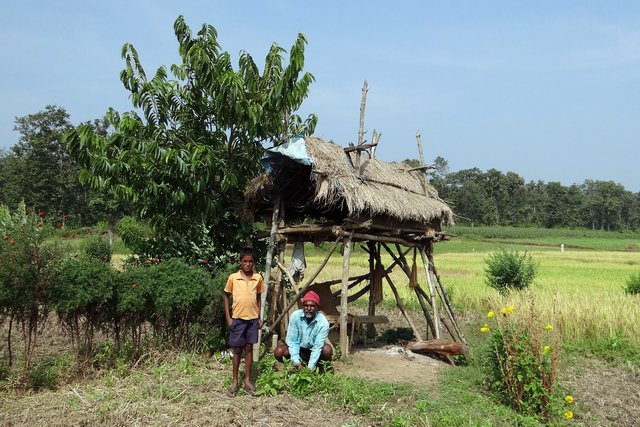 farmer-207954_1280.jpg